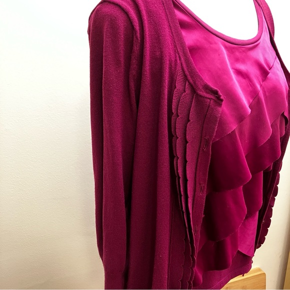 Ann Taylor Deep Rose Sweater Set - Picture 5 of 12